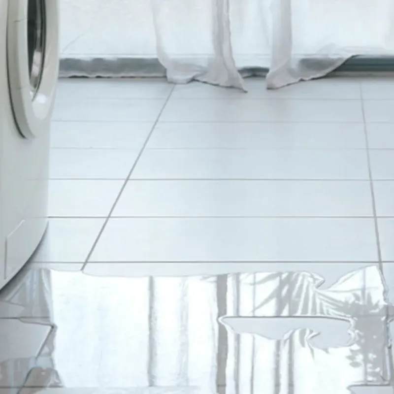 Appliance Leak Cleanup in Decorah, IA