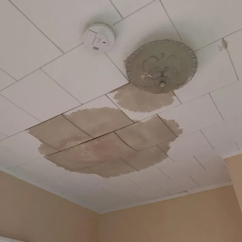 Ceiling Water Damage Repair in Decorah, IA