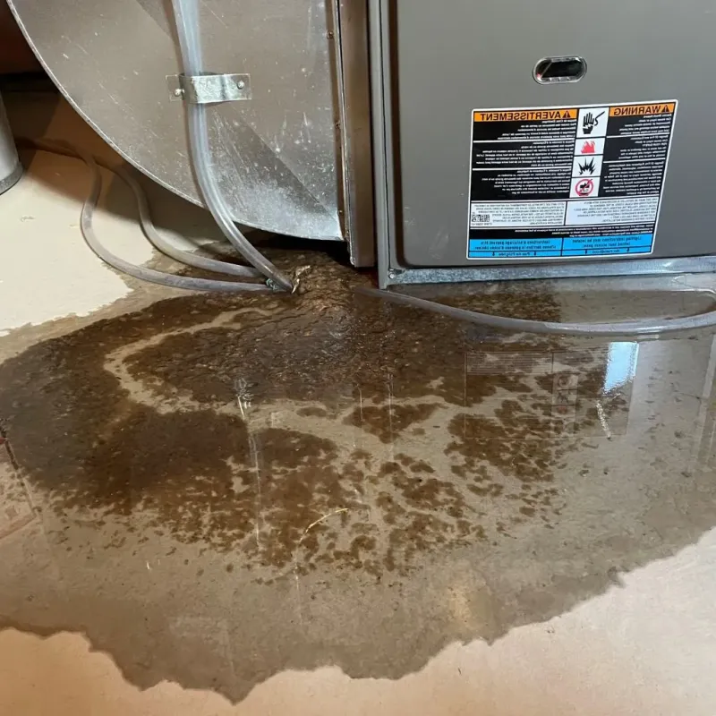 Pipe Burst and Leak Restoration in Decorah, IA